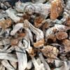 Hillbilly Mushroom